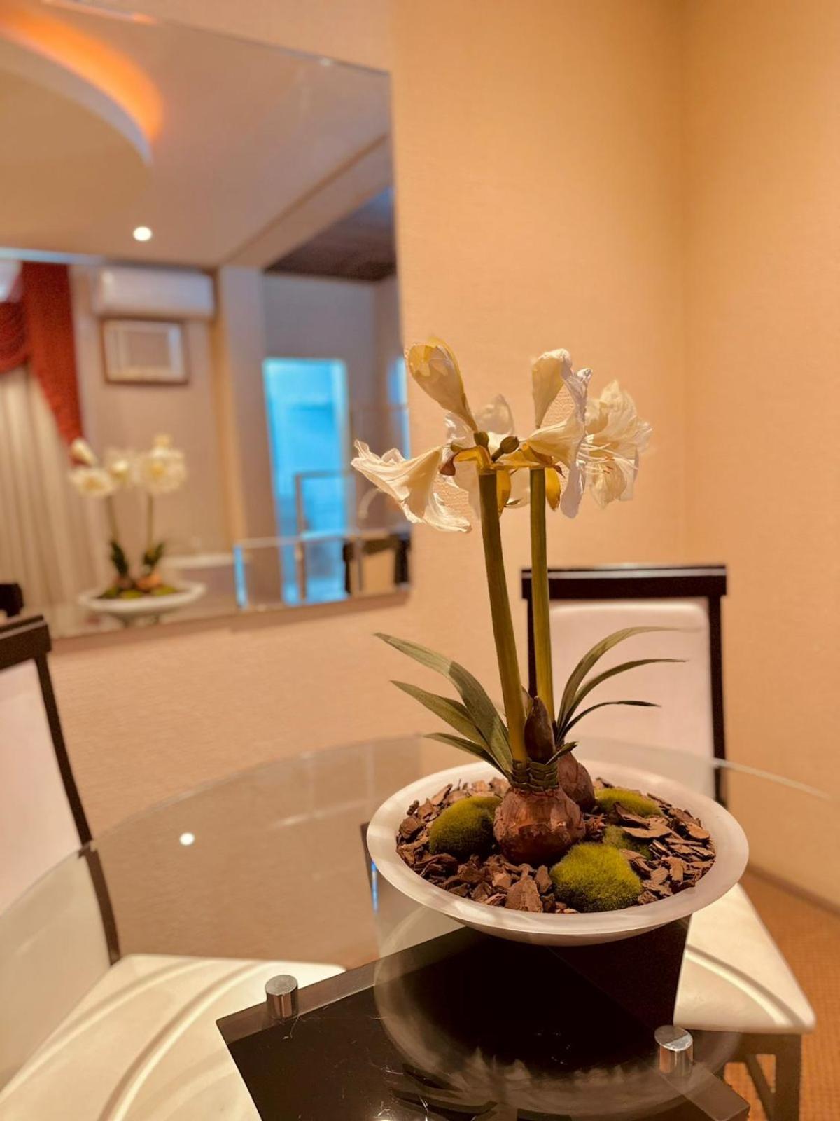 Skalla Hotel Nova Odessa Ngoại thất bức ảnh